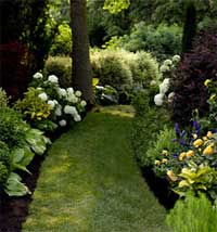 shaded garden path bordered by flowering plants and trimmed shrubs